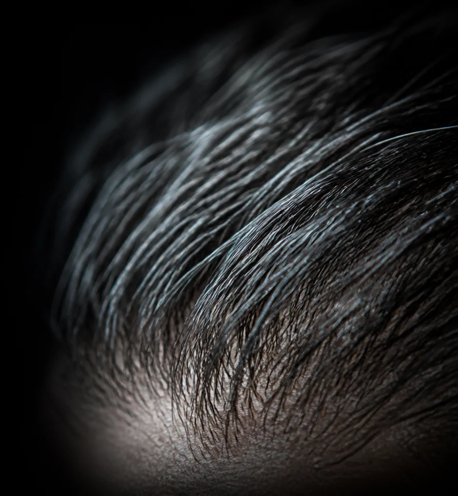 Gros plan d’une chevelure sombre et de sa ligne frontale, éclairées sur fond noir.