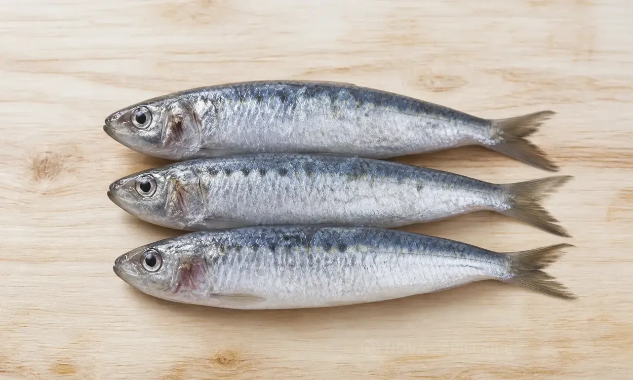 Les sardines
