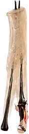 E