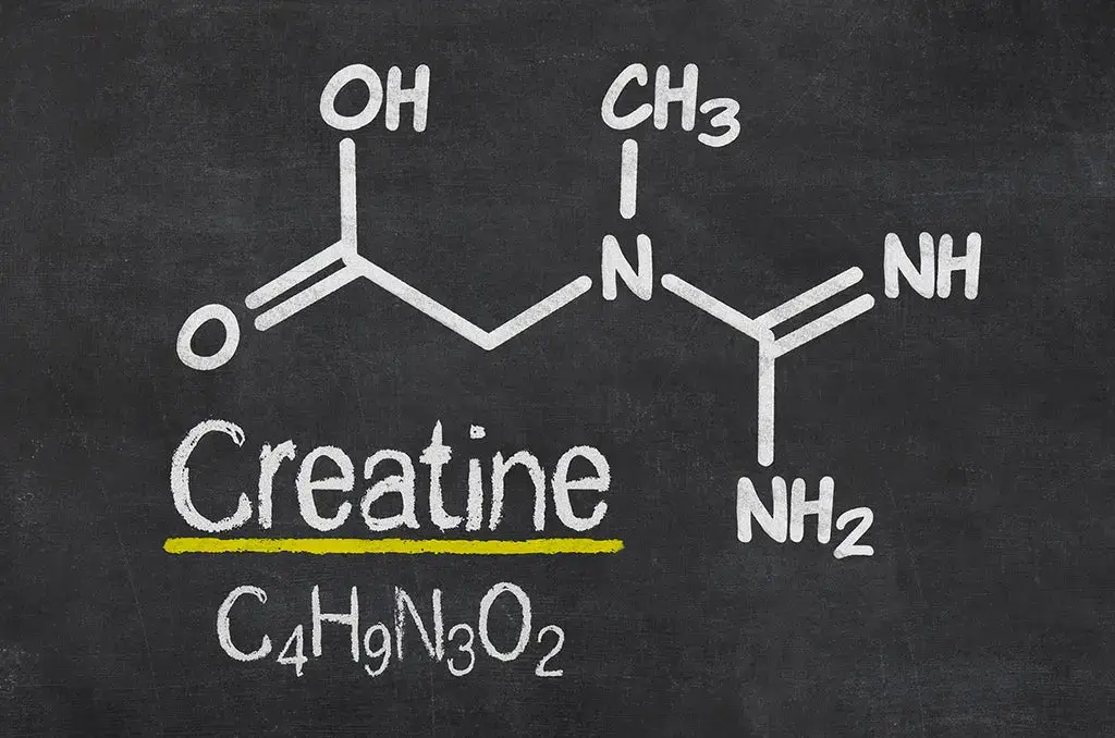 Qu’est-ce que la créatine et comment fonctionne-t-elle ?