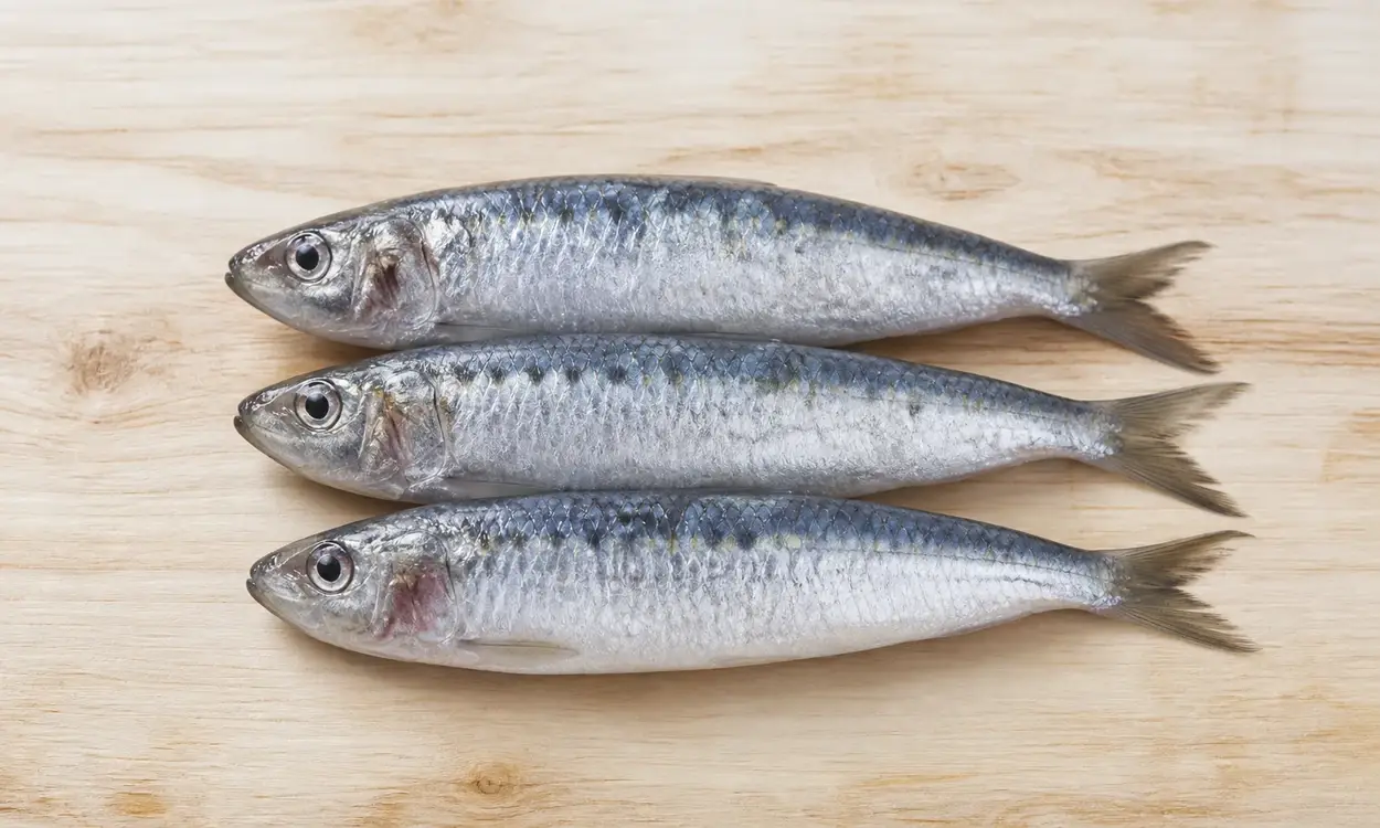 Sardines : un aliment souvent cité pour soutenir les cheveux