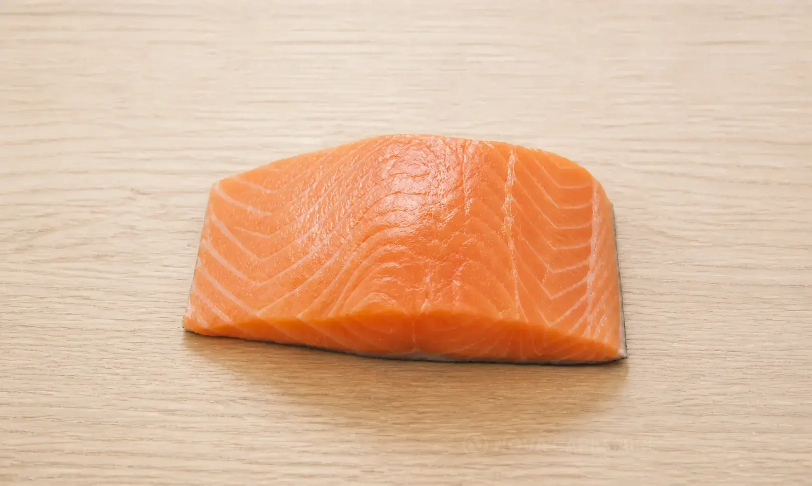 Salmon